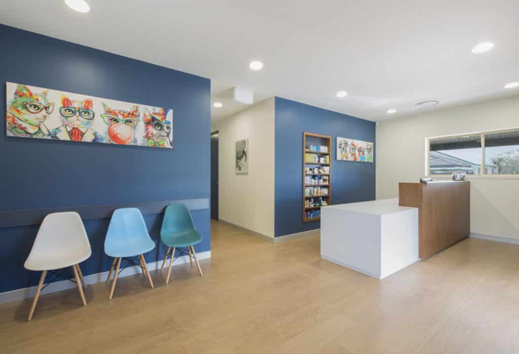 Ballina vet reception - adding personality to the practice design by using colour