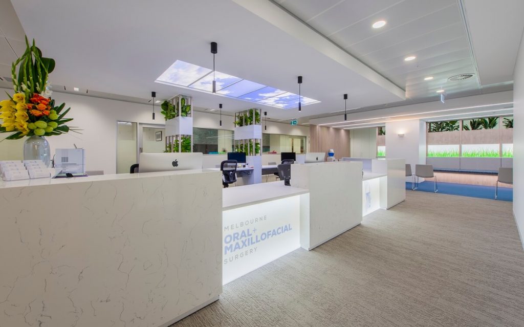 Dental fitout with natural elements