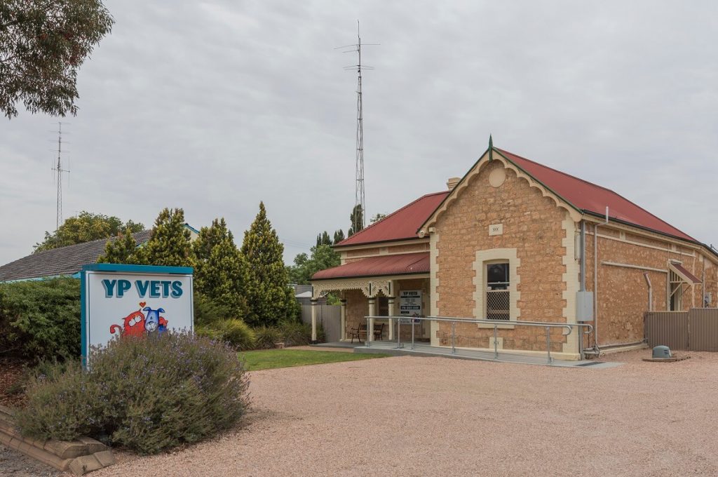 YP Vets clinic staged fitout