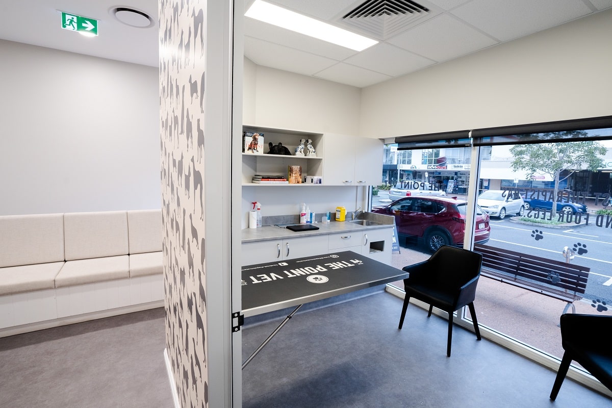 The Point Vet fitout - Consult room