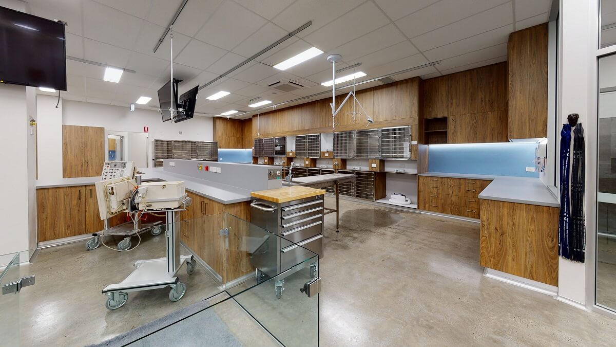 New Veterinary Specialist Hospital Fitout in Sydney’s South - Elite Fitout