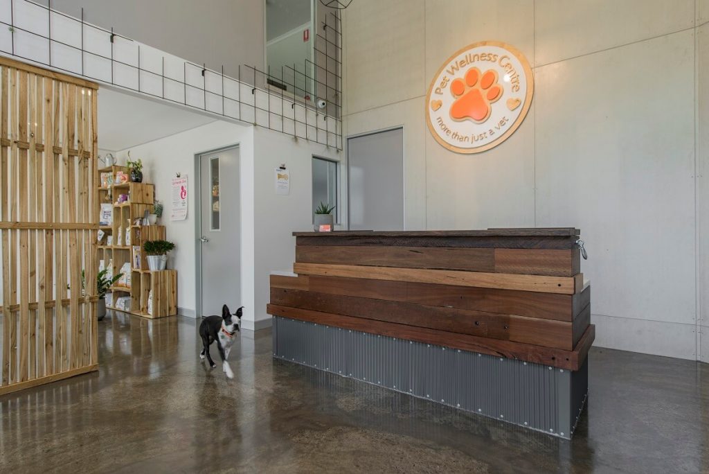 Pet Wellness vet practice fitout - reception