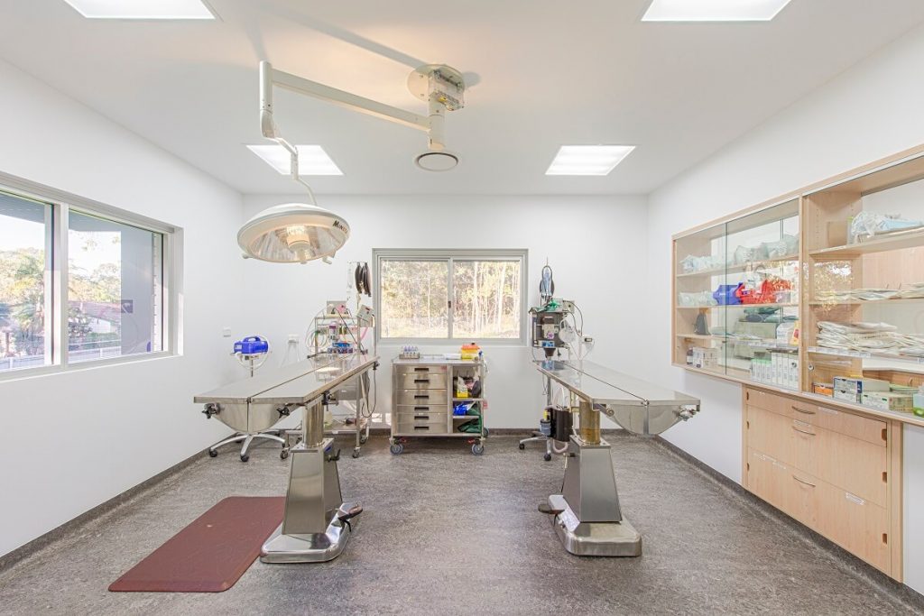 Natural light in this vet clinic operating theatre