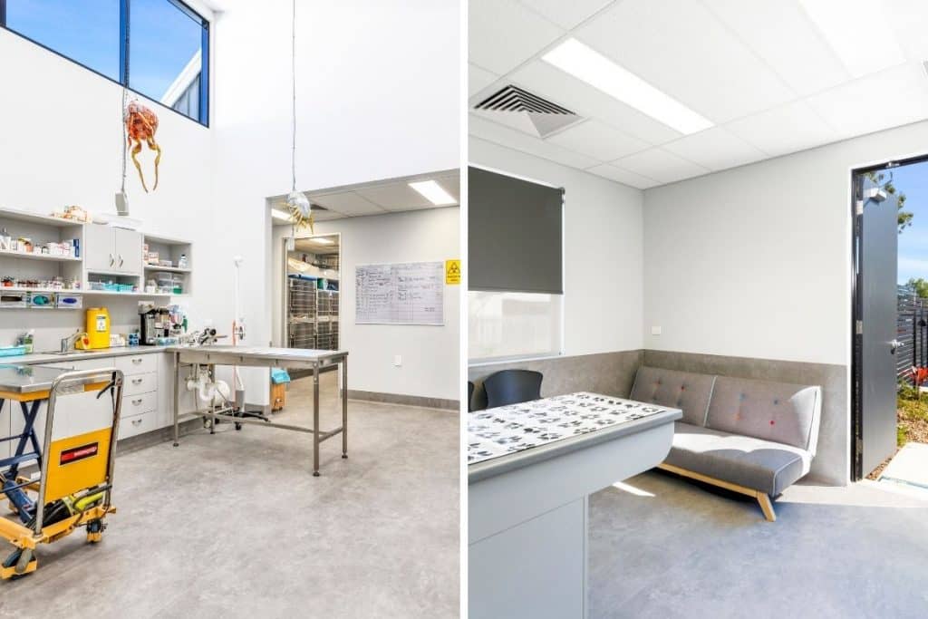 Veterinary practice treatment and consult rooms with lots of natural light