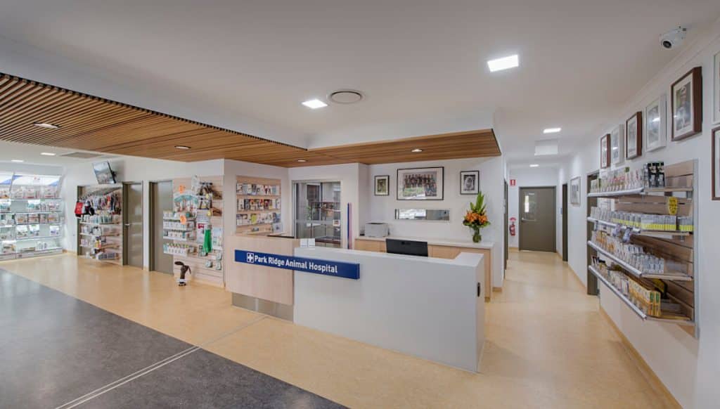 Vet Clinic Design Setup: Efficient Flow and Effective Layout - Elite Fitout