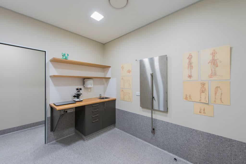 Vet practice consult room with fold-up table