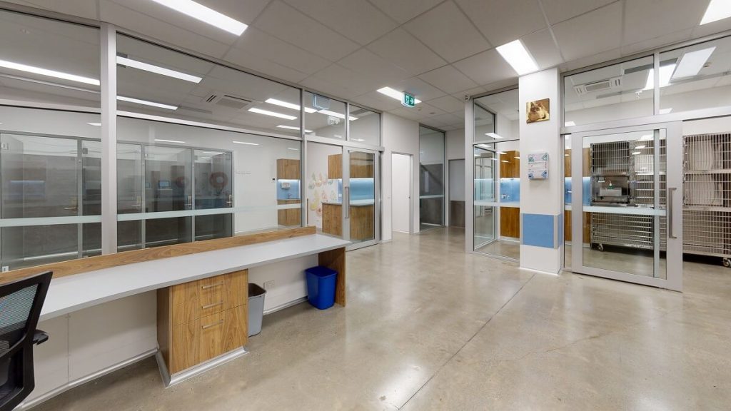 Vet clinic design trends - glass-walled treatment areas