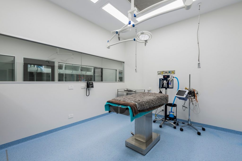 Veterinary hospital operating room design